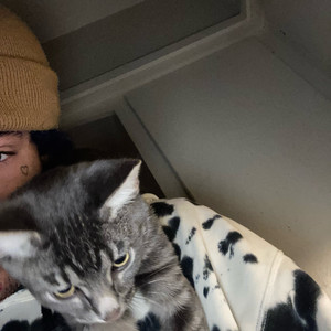 Dazed & Confused (Explicit)