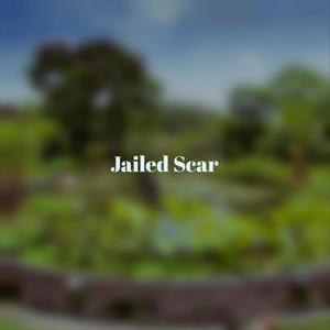 Jailed Scar