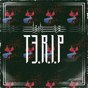 T3.R.I.P (Explicit)