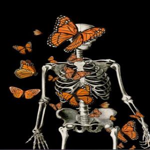 out of orbit (Explicit)