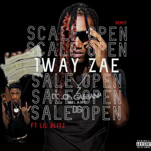 Scale Open (Remix) [Explicit]