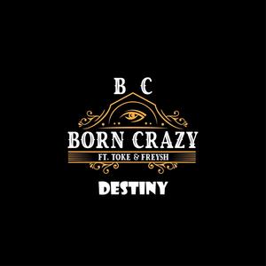 Destiny (feat. Toke & Freysh) (Explicit)