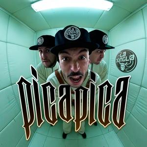 Picapica