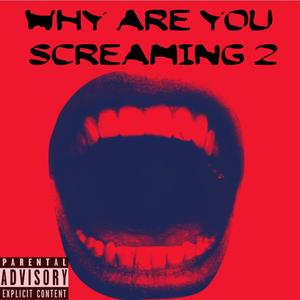 WHY ARE YOU SCREAMING 2 (Explicit)