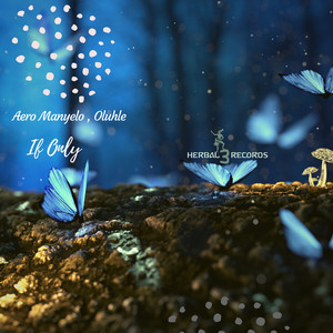 If Only (Original Mix)