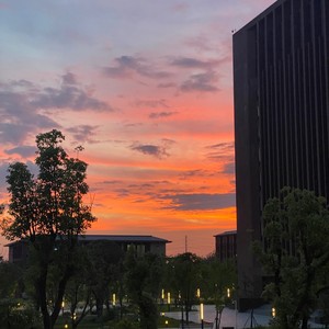 我是如此相信 (Live)