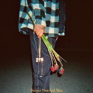 Never Needed You (Explicit)