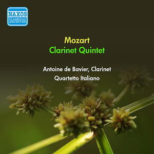 Clarinet Quintet in A Major, K. 581 - IV. Allegretto con variazioni