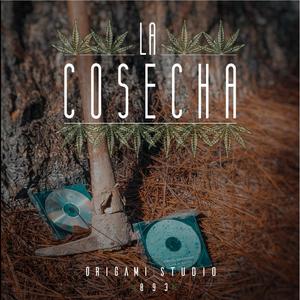 LA COSECHA