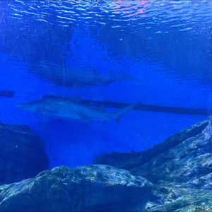 等你的季节-栀恩