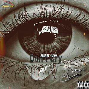 Dont Cry (feat. Cignature) [Explicit]