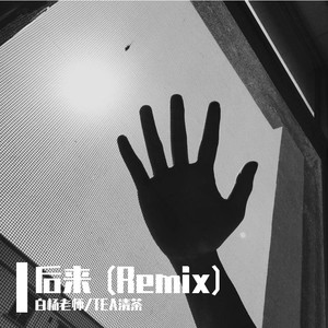 刘若英-后来 (TEA清茶 / 白杨老师 remix)