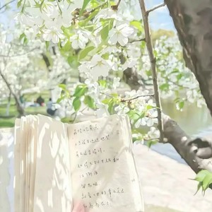 梓渝(萤火星球)