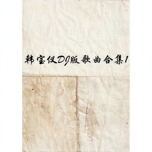除了你 (DJ九零版伴奏)封面