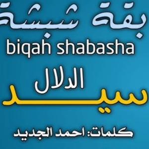 Biqah Shabasha - الفنان بقه شبشة | سيد الدلال (Explicit)