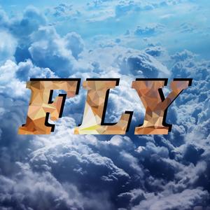 Fly