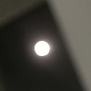 달타령