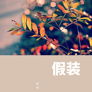 假装 (治愈男版)