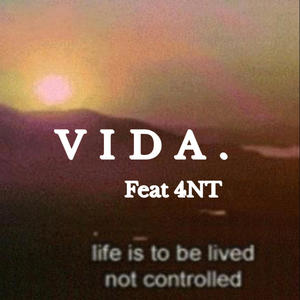 VIDA. (feat. 4NT) (Explicit)