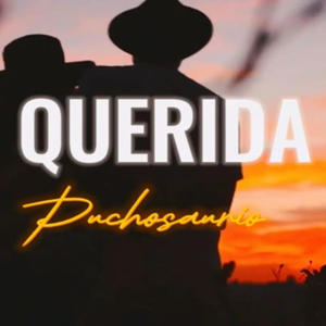 Querida (feat. Puchosaurio) [Explicit]