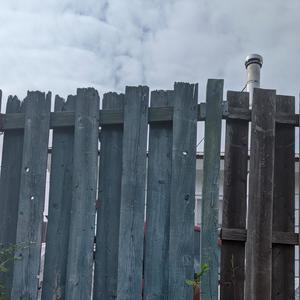 BOBCAT(voicememo 02)