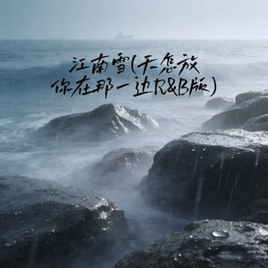江南雪(天怎放你在那一边) (R&B版)