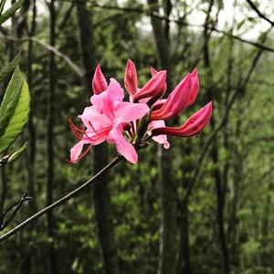 Just Like Me (Explicit)