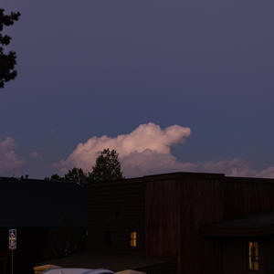 Whisper In My Own Ear