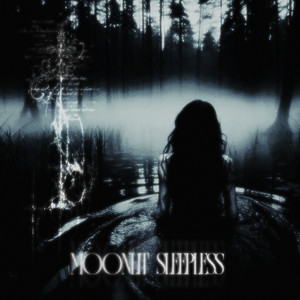 moonlit sleepless (Slowed)