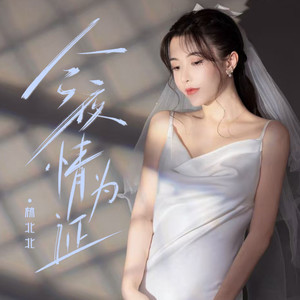 今夜情为证 (女版)