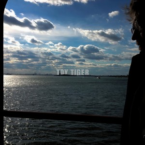 Toy Tiger