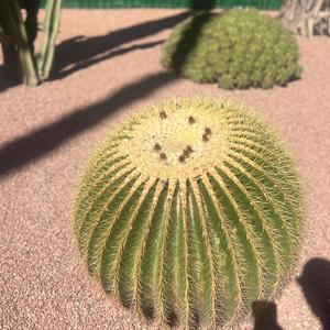 Don't Leave (Explicit)