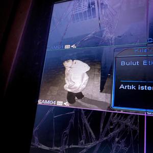 TASMANIAN (Explicit)