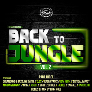 Back to Jungle, Vol. 2(Pt. 3) (Continuous DJ Mix)