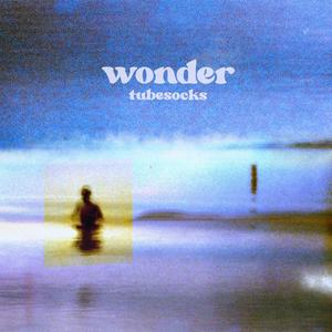 Wonder