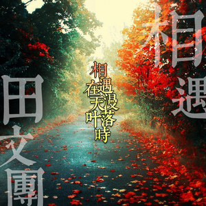 相遇在漫天落叶时