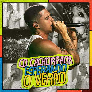 MEDLEY CACHORRADA 2.0 (Ao Vivo)