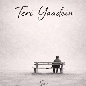 Teri Yaadein