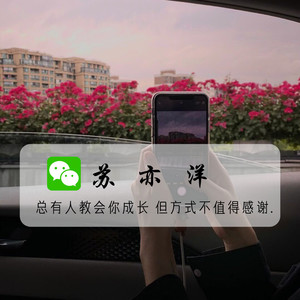 一生所爱-苏亦洋