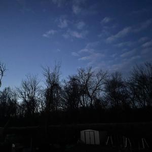 you never cared abt me (feat. sylph) (Explicit)