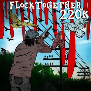 Flock Together (Explicit)