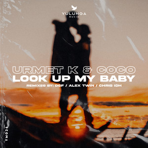 Look Up My Baby (Chris IDH Remix)