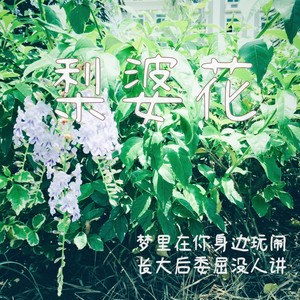 梨婆花