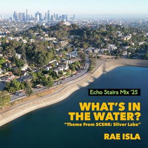 What's In The Water (Theme from SCENE: Silver Lake) (Echo Bridge Remix '25)
