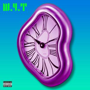 W.Y.T(waste your time)