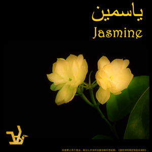 Golden Jasmine