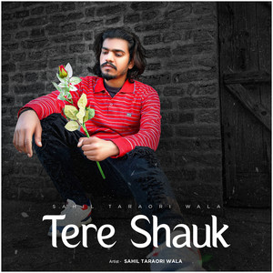 Tere Shauk