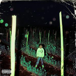 Blazed Habits (SV AUDIO) (Explicit)