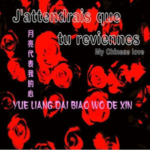 月亮代表我的心（钢琴独奏）