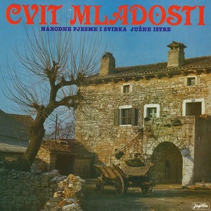 Cvit Mladosti - Narodne Pjesme I Svirka Južne Istre